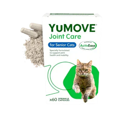 Cat Food